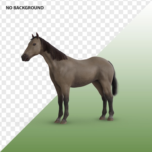 KŮŇ