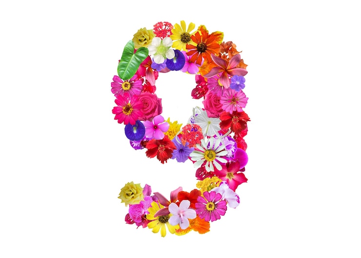 PSD l forma feita de vários tipos de flores de orquídea