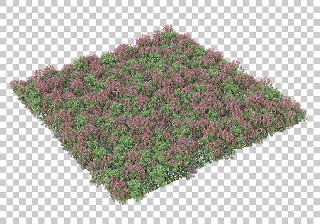 Ladang bunga dengan ilustrasi render 3D latar belakang transparan
