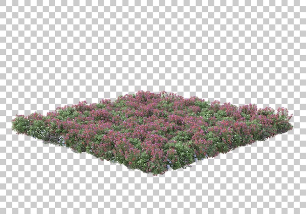 Ladang bunga dengan ilustrasi render 3D latar belakang transparan
