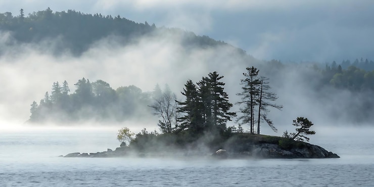 PSD un lago de niebla con árboles y montañas en el fondo