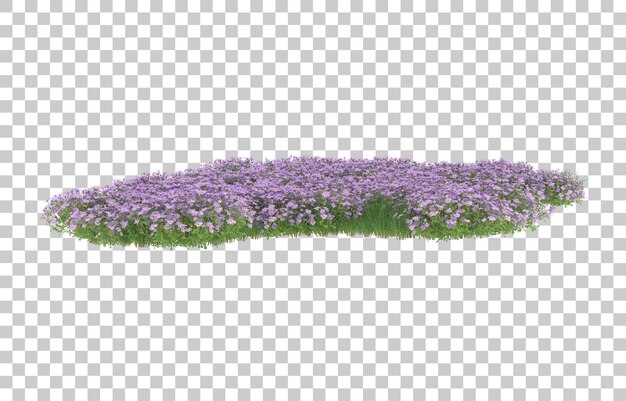 Lahan bunga dengan latar belakang transparan. Render 3D - ilustrasi