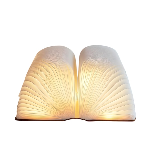 Lâmpada de livro LED - Decoração única