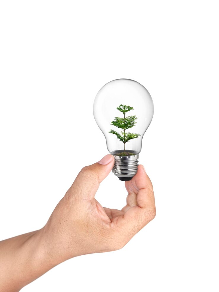 PSD lampadina a mano con albero verde all'interno di uno sfondo trasparente