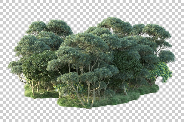 Landage vert isolé sur un fond transparent illustration de rendu 3D