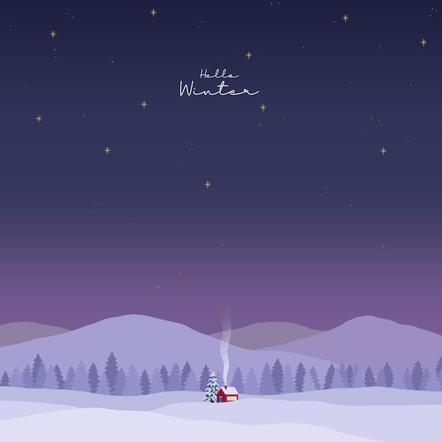 Landschaft in der Winternacht