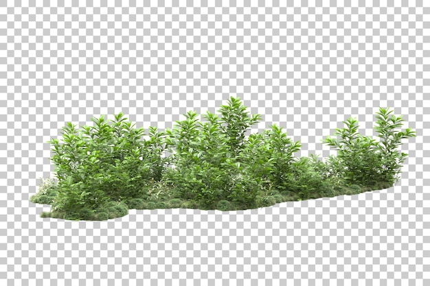 Landschaftsanordnung isoliert auf transparentem Hintergrund, 3D-Darstellung
