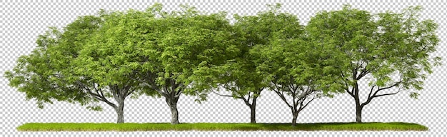Landschaftsgestaltung dschungel grüne bäume reihe ausgeschnitten hintergründe 3d-rendering