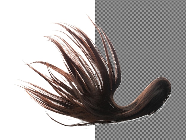 Lange gerade Perücke Haarstil fliegen Fall Explosion Schwarze brünette Frau Perücke Haarverlängerung schwimmen in der Mitte der Luft Gerade Perücke Haare Verlängerung Wind Blasen Wolke werfen Weißer Hintergrund isoliert hohe Geschwindigkeit