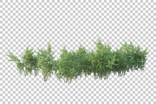 Lanskap hijau diisolasi pada latar belakang transparan ilustrasi render 3D