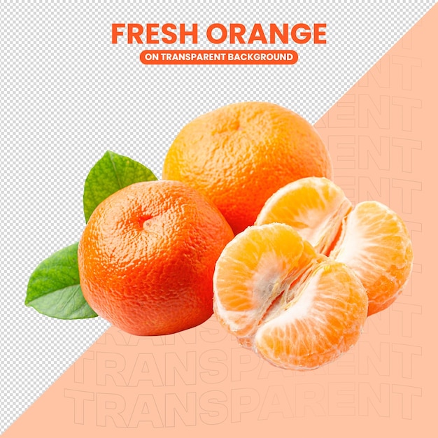 Laranjas frescas em fundo transparente