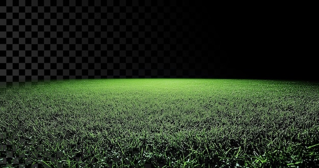 Large empty green grass field on transparent background