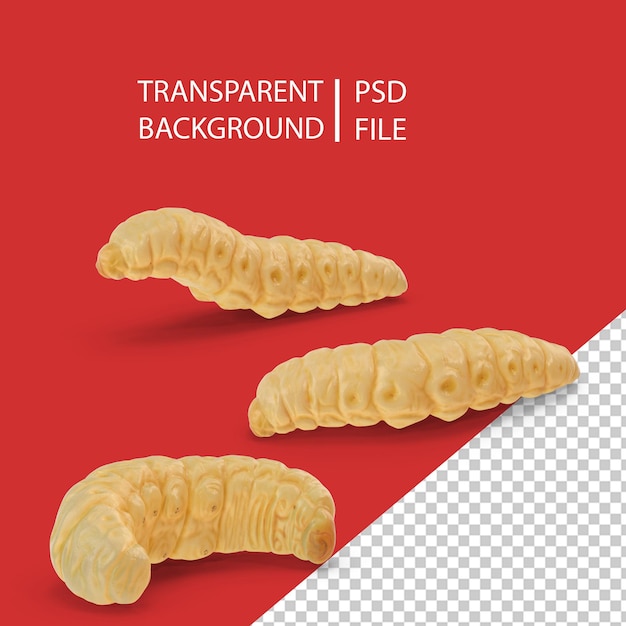 PSD larva de closeup png