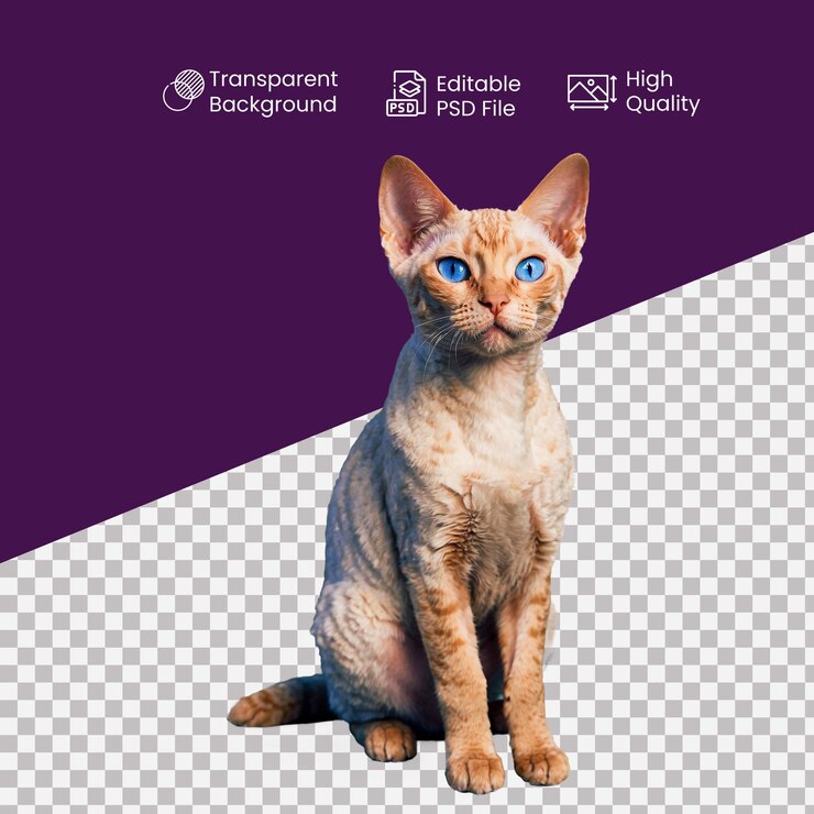 PSD una lata de devon en el fondo transparente