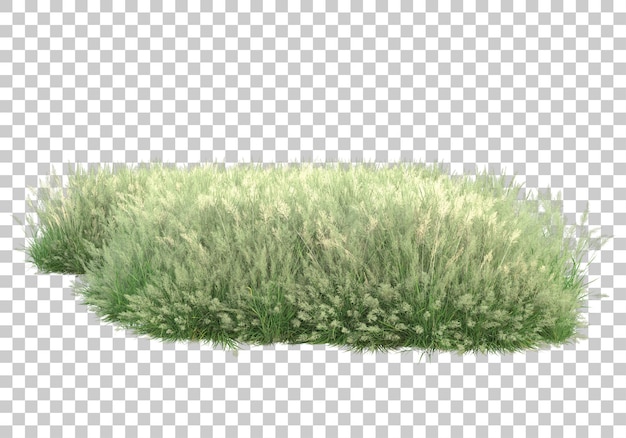 Laub auf transparentem Hintergrund 3D-Darstellung