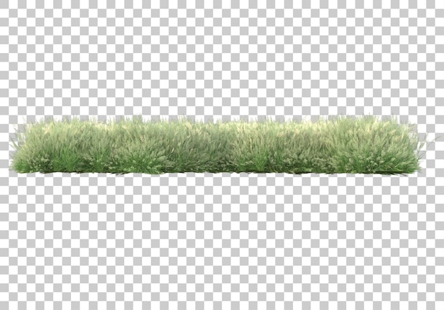Laub auf transparentem Hintergrund 3D-Darstellung