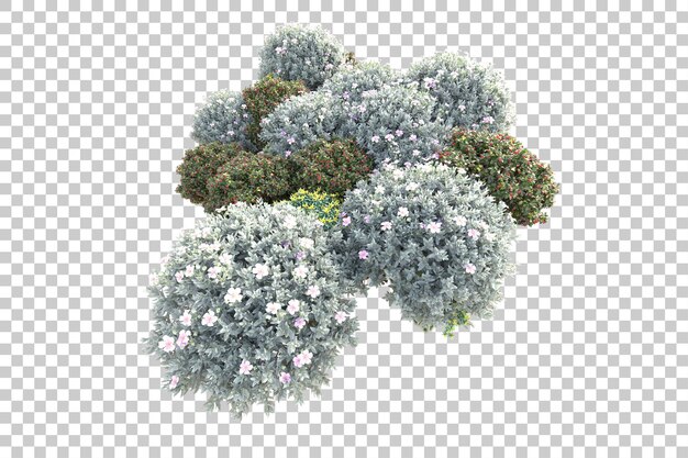 Laubinsel isoliert auf transparentem Hintergrund 3D-Darstellung