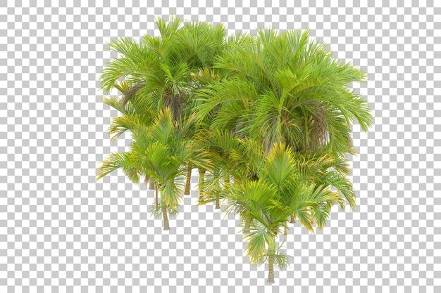 Laubinsel isoliert auf weißem Hintergrund 3D-Darstellung
