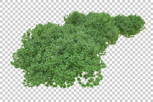 Laubinsel isoliert auf weißem Hintergrund 3D-Darstellung