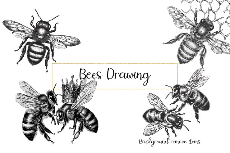 PSD le api che disegnano clipart