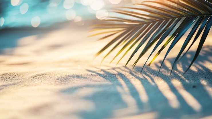 PSD le foglie di palma che gettano ombra sulla sabbia della spiaggia illuminata dal sole