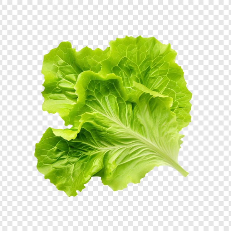 PSD le foglie fresche di lattuga verde sono un ingrediente sano per le insalate ricco di vitamine
