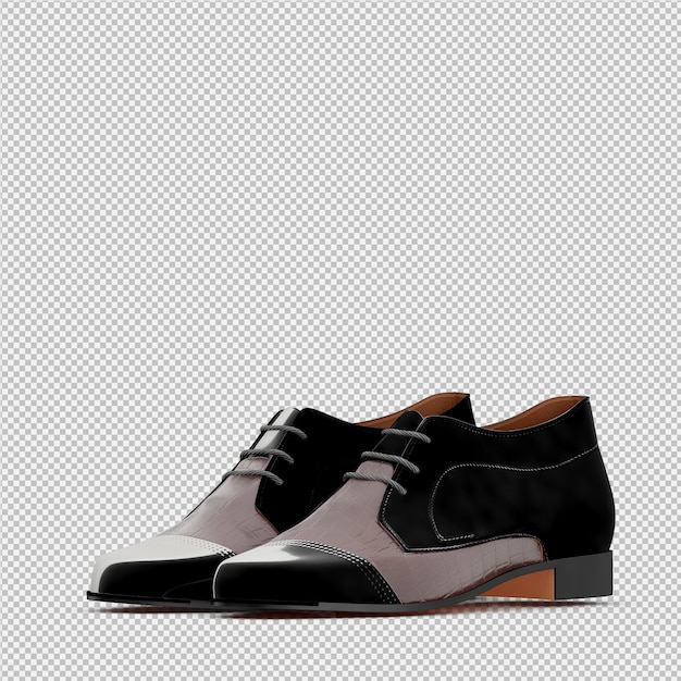 Le scarpe isometriche 3D isolate rendono