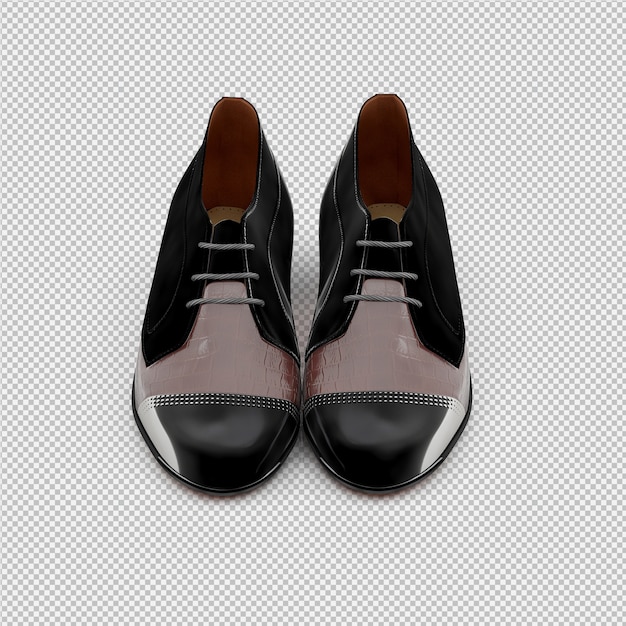 Le scarpe isometriche 3D isolate rendono