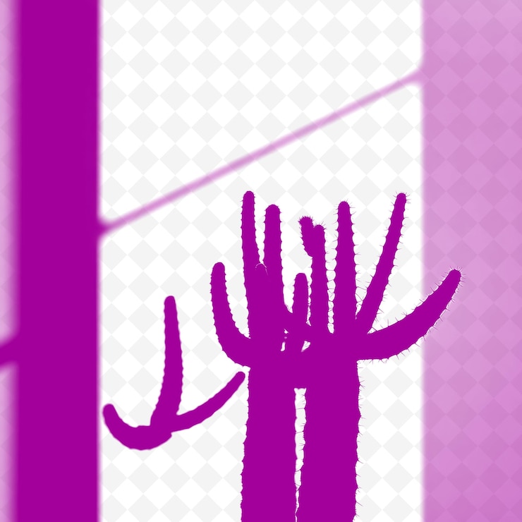 PSD le spine del cactus fanno ombra le linee nitide e distinte che emettono dalla pianta sono in forte contrasto con l'oscurità