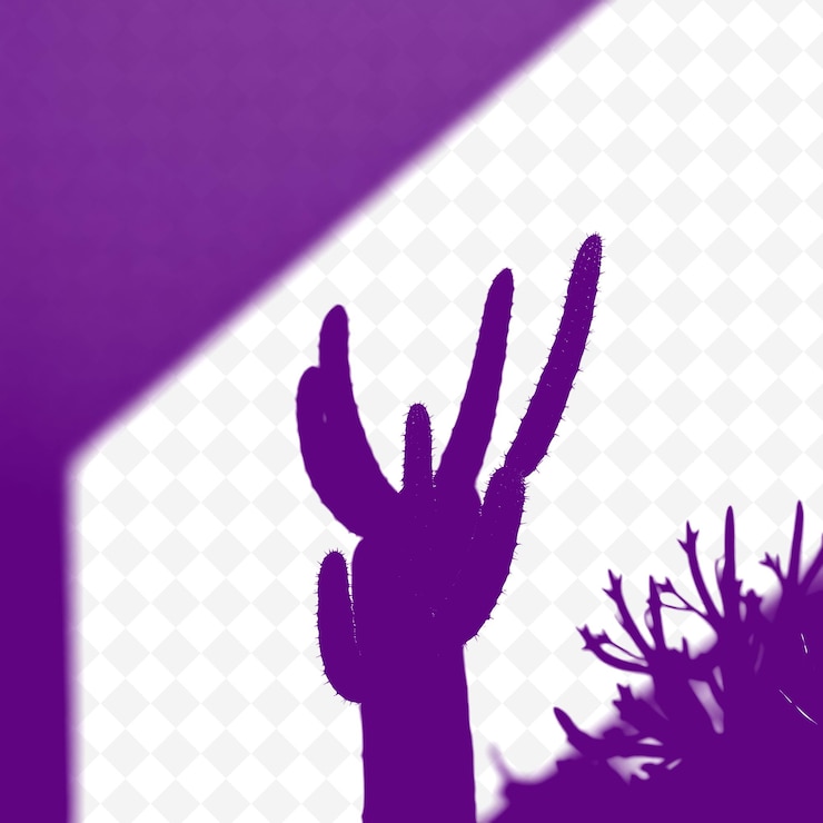 PSD le spine del cactus fanno ombra le linee nitide e distinte che emettono dalla pianta sono in forte contrasto con l'oscurità