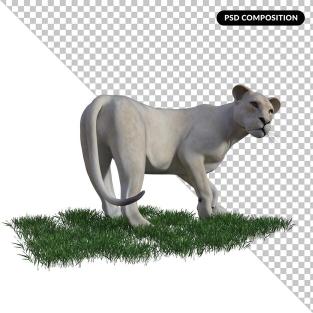 PSD leão branco isolado 3d