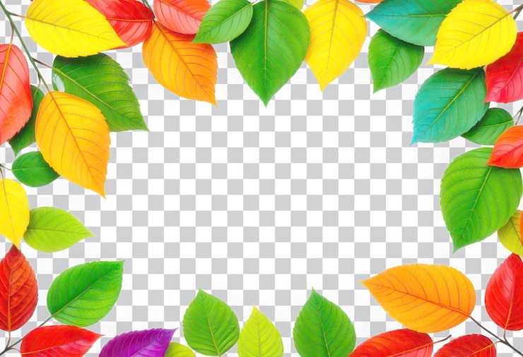 PSD lebendige herbstblätter im rahmen mit durchsichtigem hintergrund
