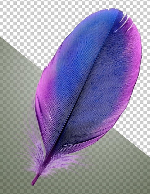 Lebendige lila und blaue Federn ausgeschnitten Stock png