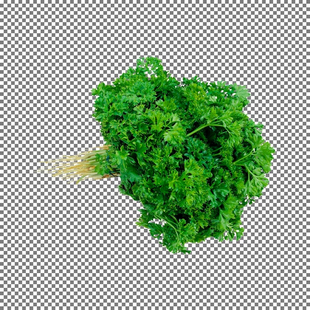 Lechuga aislada sobre fondo blanco