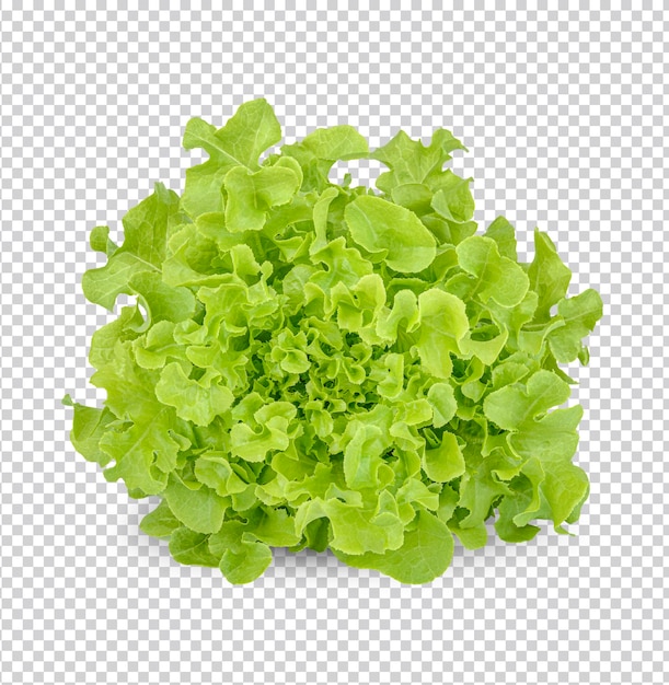 Lechuga fresca aislada premium psd