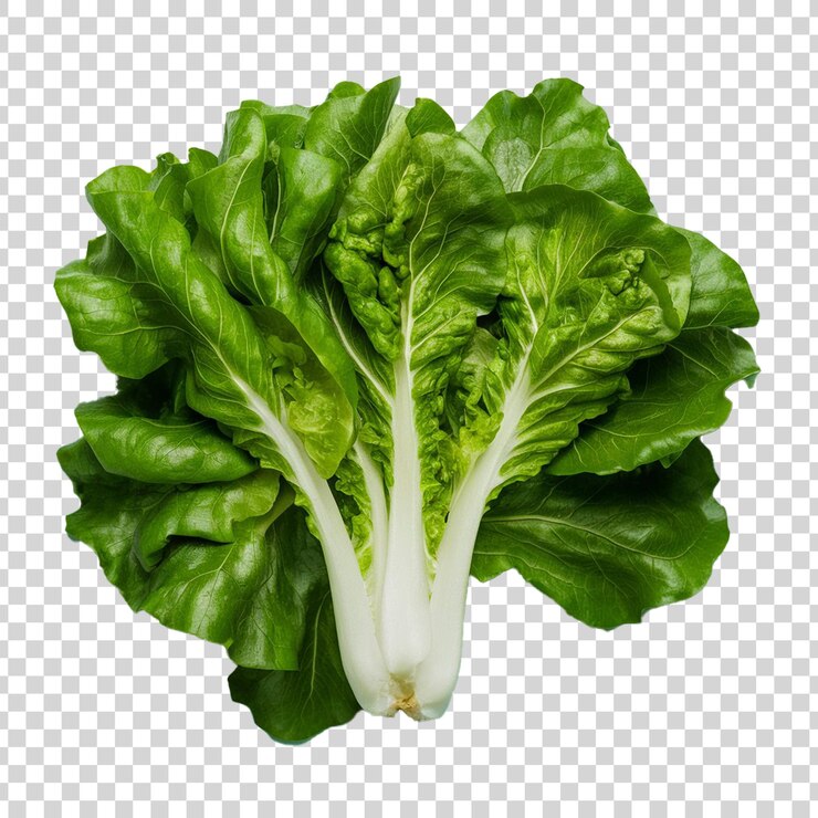 PSD lechuga fresca aislada sobre un fondo transparente, crujiente y verde