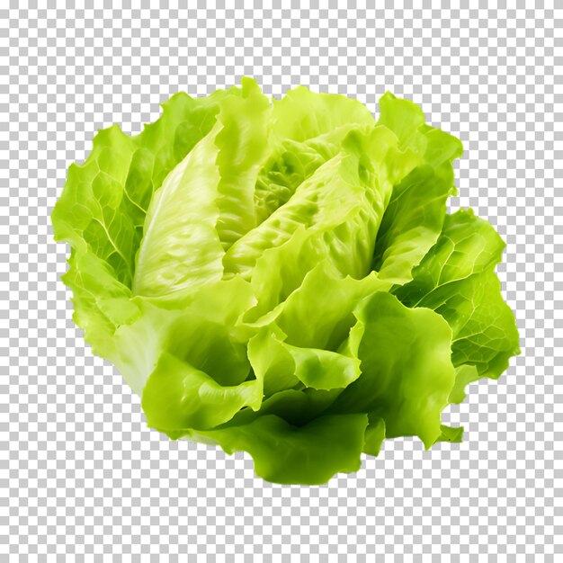 PSD lechuga fresca png sobre un fondo transparente