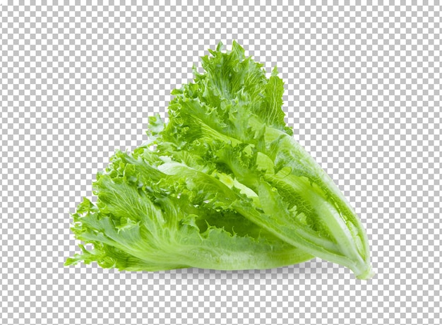 Lechuga iceberg con volantes verdes aislada en capa alfa