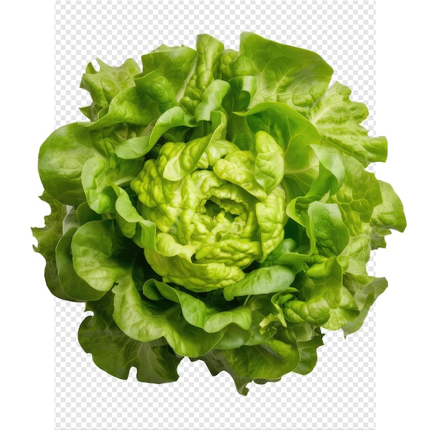 PSD una lechuga verde se muestra en esta foto