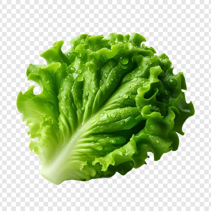 PSD una lechuga verde sobre un fondo transparente