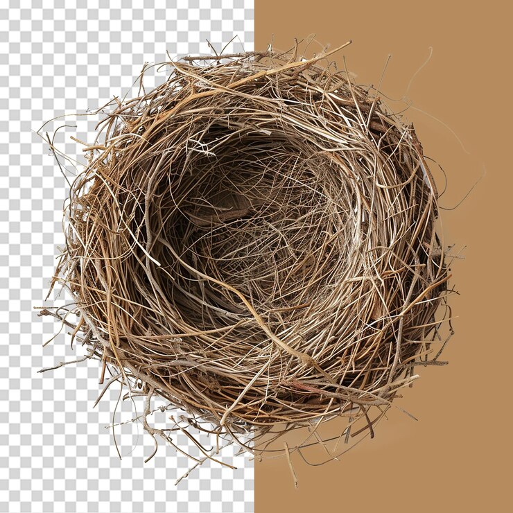 PSD leeres vogelnest png isoliert auf durchsichtigem hintergrund