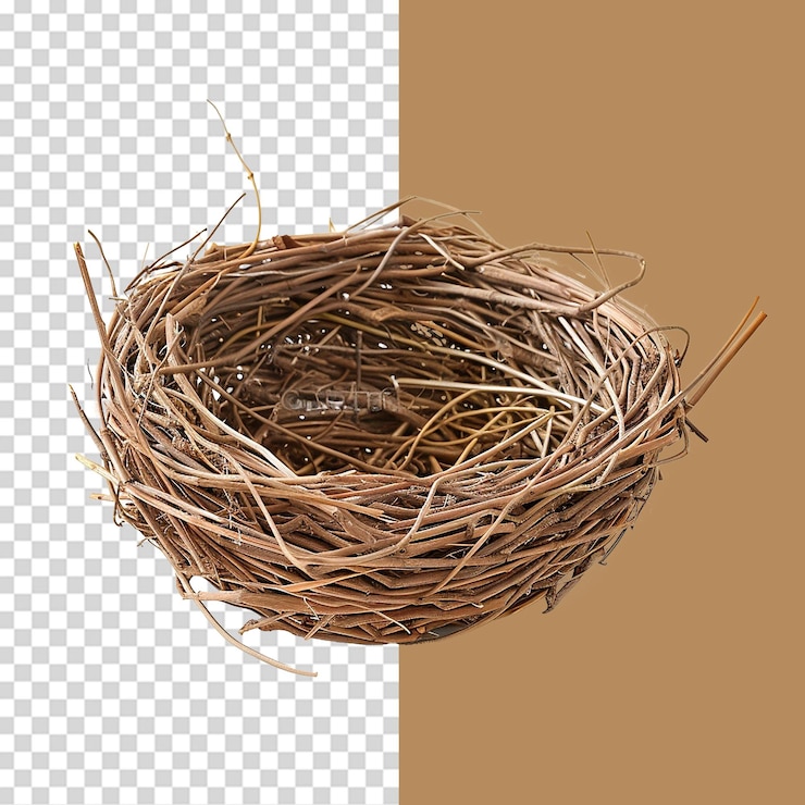 PSD leeres vogelnest png isoliert auf durchsichtigem hintergrund