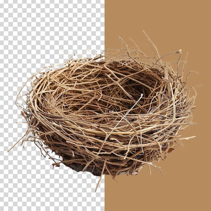 PSD leeres vogelnest png isoliert auf durchsichtigem hintergrund