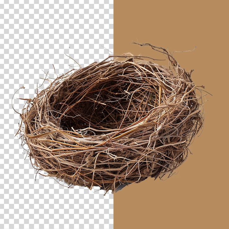 PSD leeres vogelnest png isoliert auf durchsichtigem hintergrund