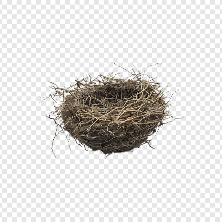 PSD leeres vogelnest