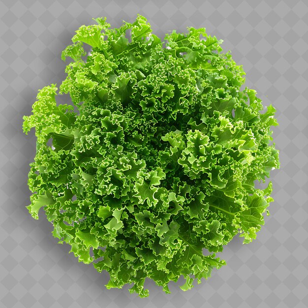 PSD un légume à feuilles vertes pousse sur un fond transparent