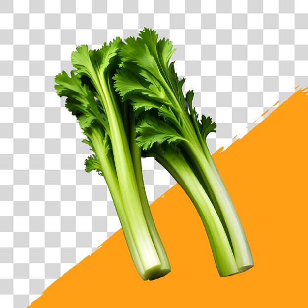 PSD légumes feuilles de céleri sur fond transparent png