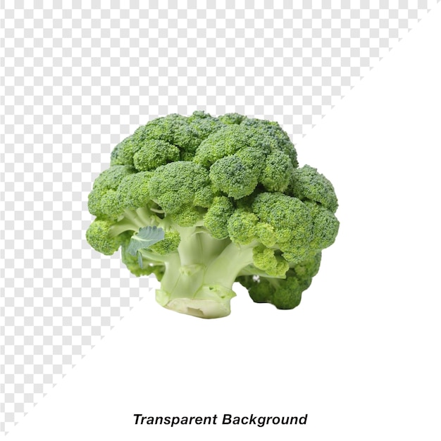 Légumes à fond transparent