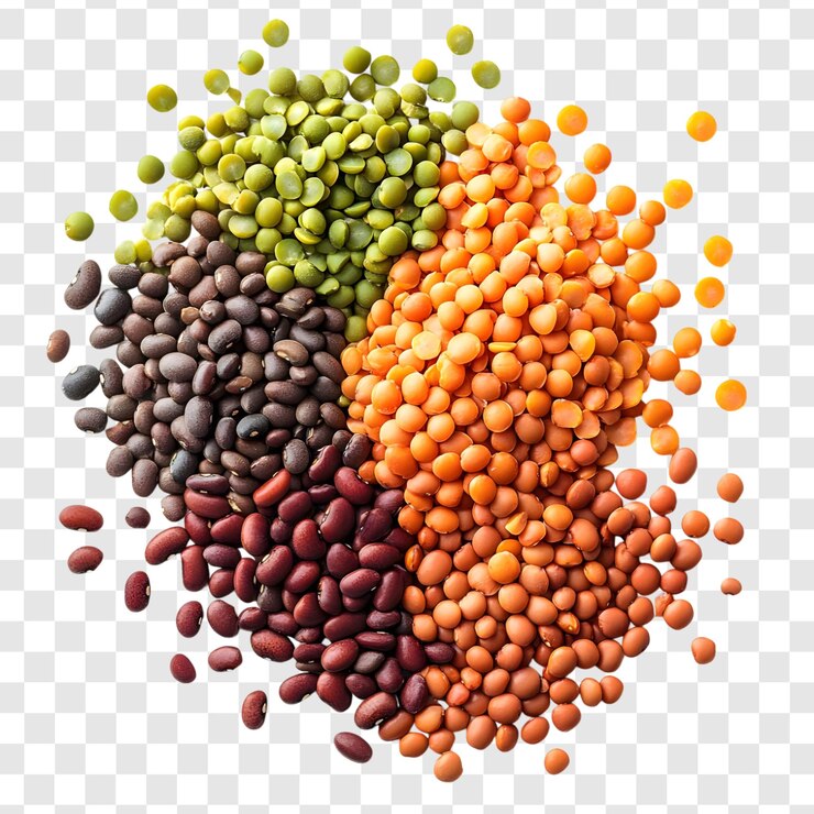 PSD légumes nutritifs, y compris les haricots, sur un fond transparent