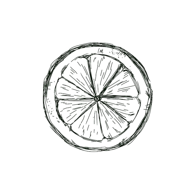 Lemon Top View in sezione Graphic Black and White Illustration Sketch per stampa e web design